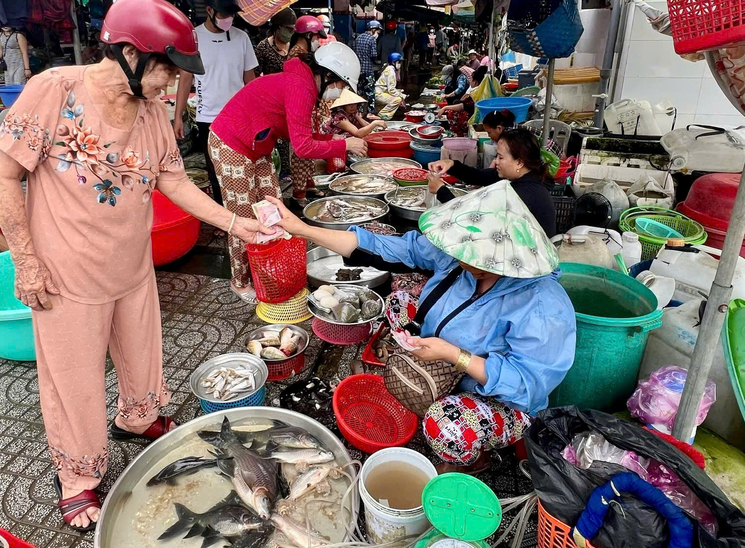 特色鱼价格在20万-30万越南盾/公斤区间波动