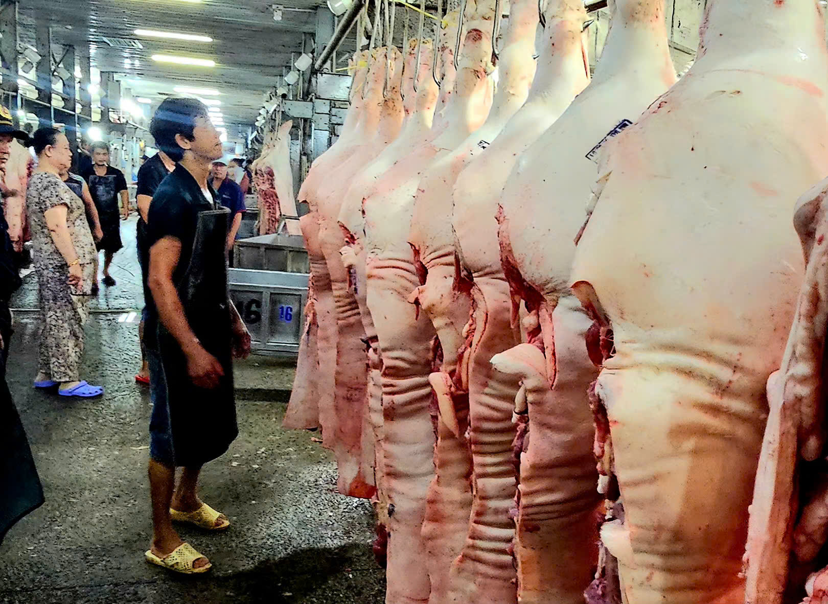 胡志明市平田批发市场的母猪肉