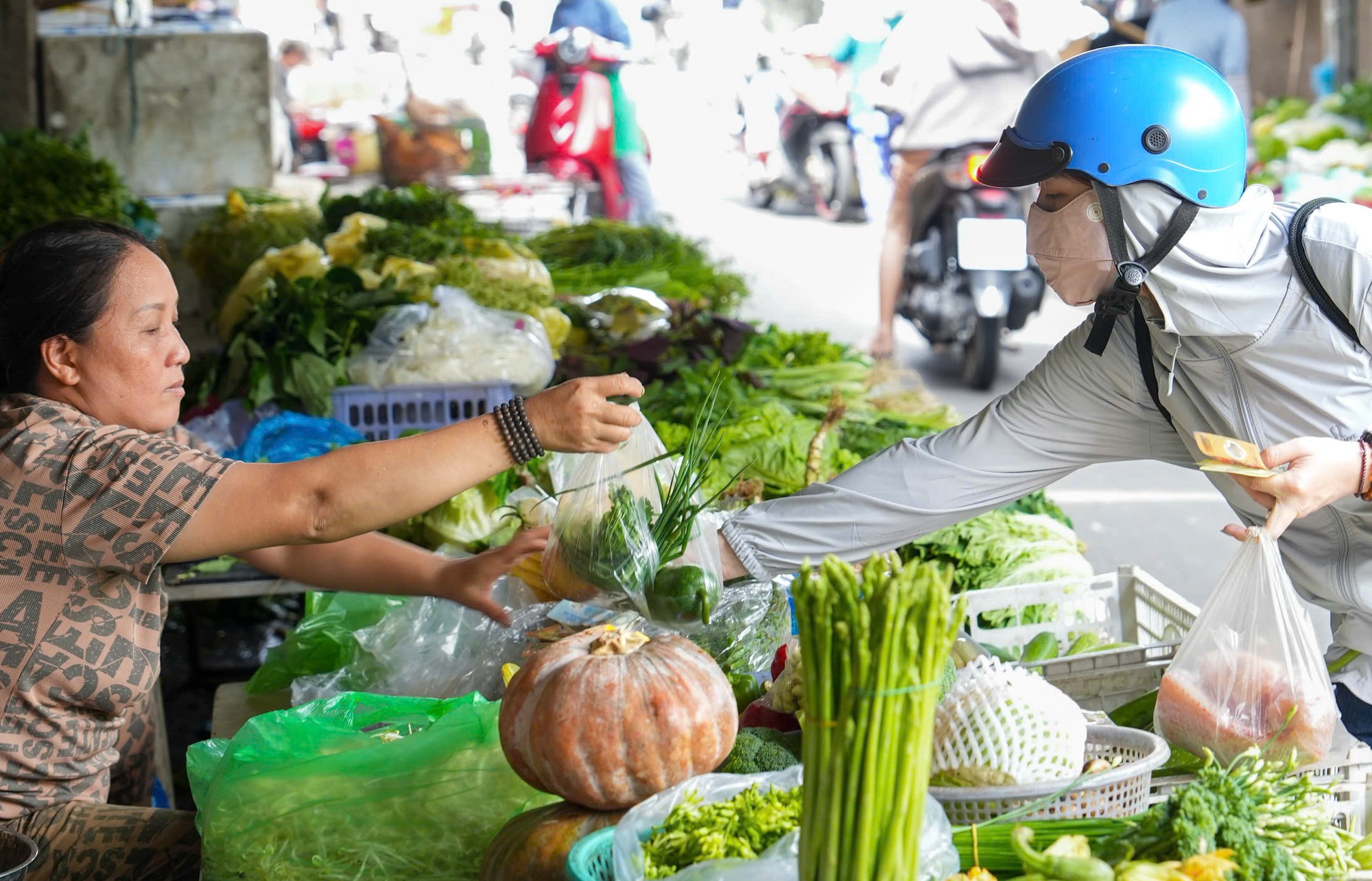 多种调味蔬菜价格较此前上涨