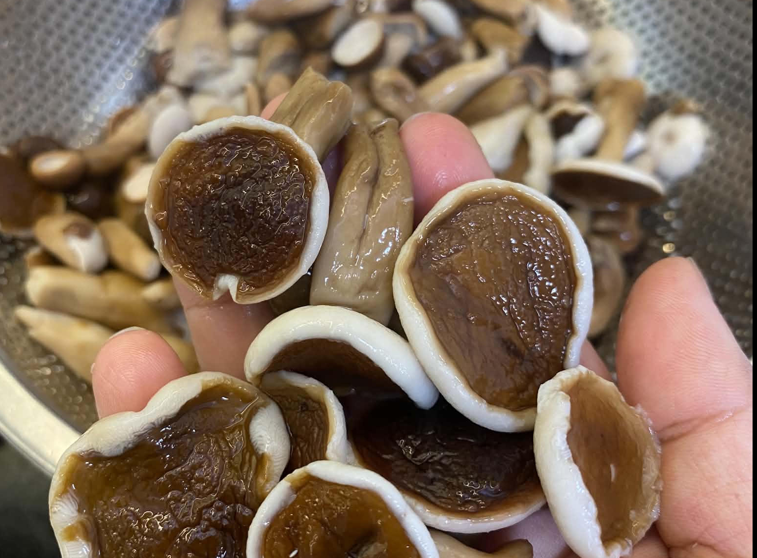 季末茶菇價格低於往年